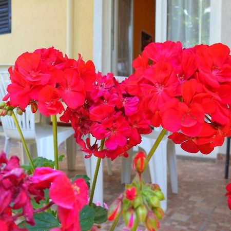 Apartment Girasole Rovigno Esterno foto